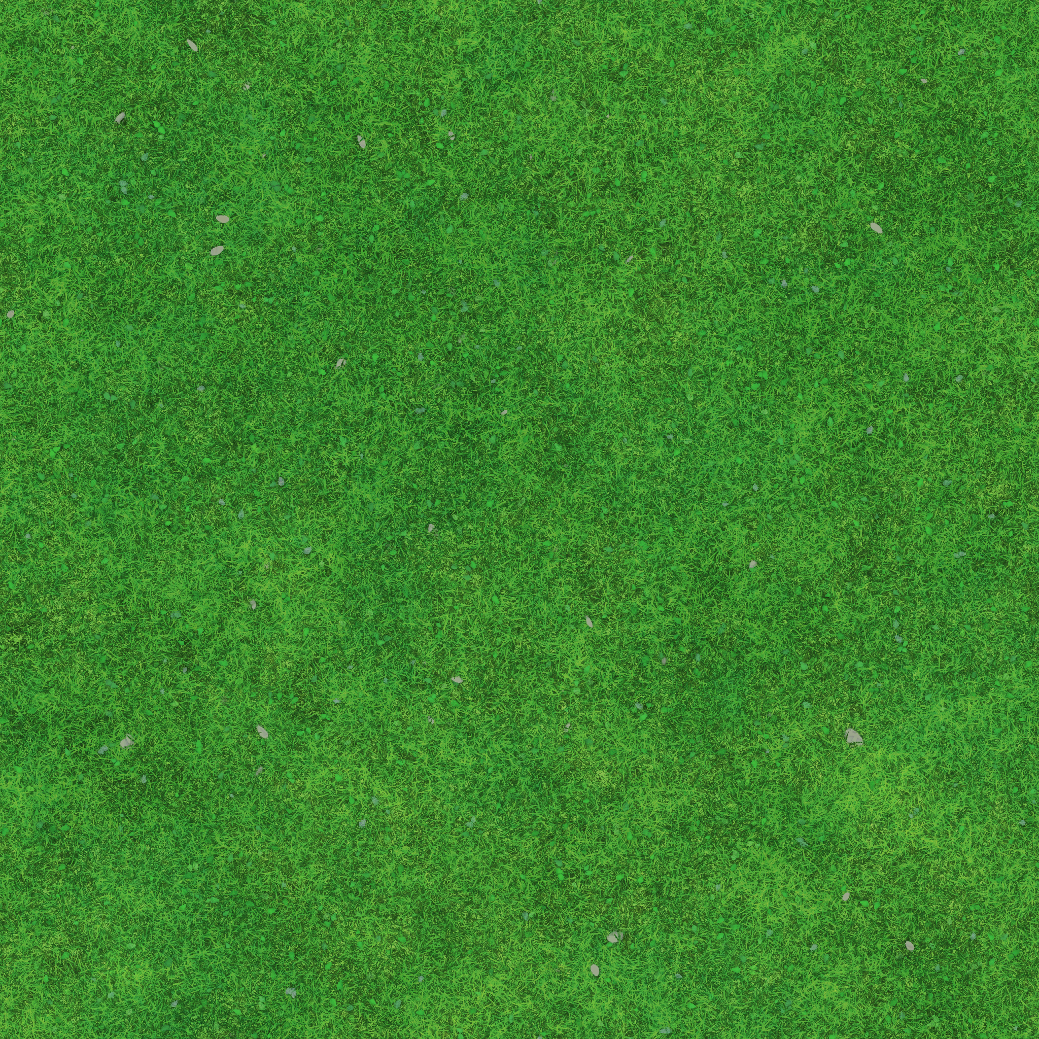 s67g001g_grass03_re.1