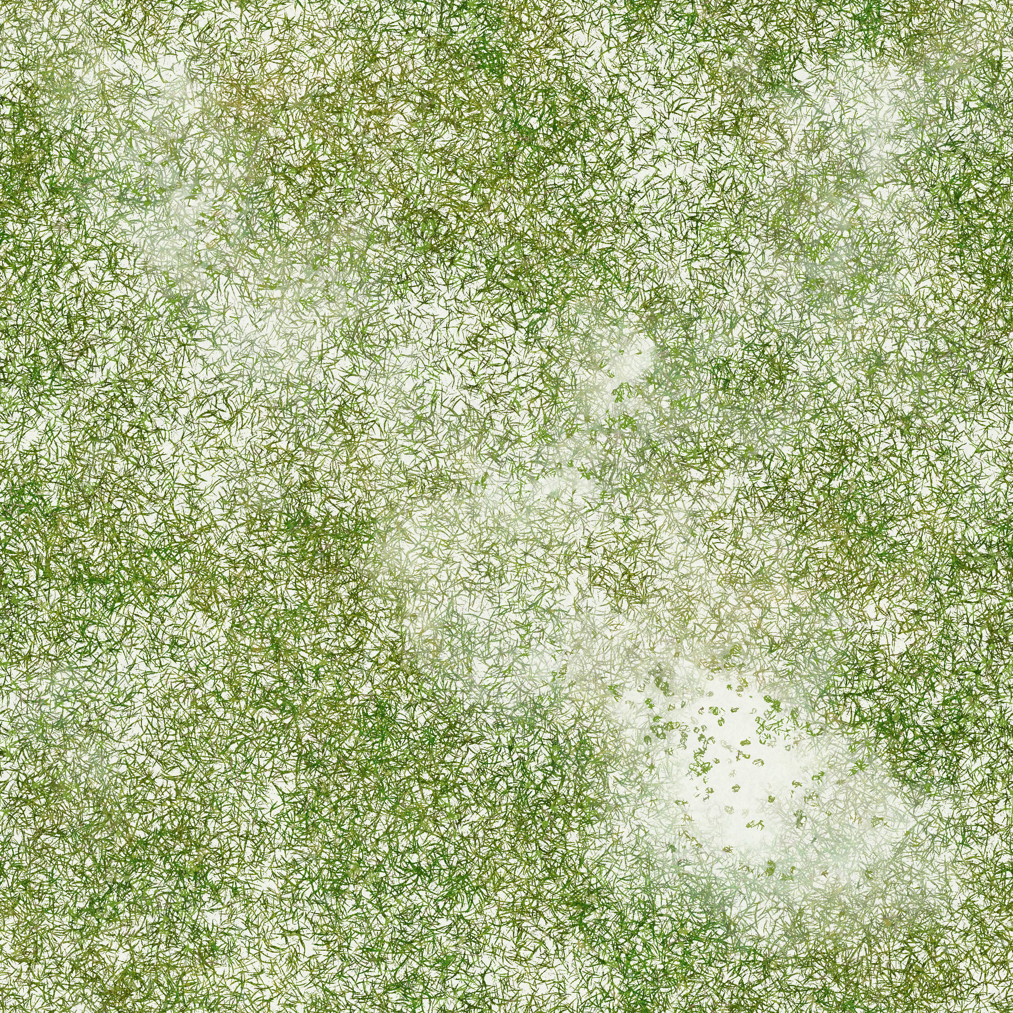 s69g001g_ground02_re.1