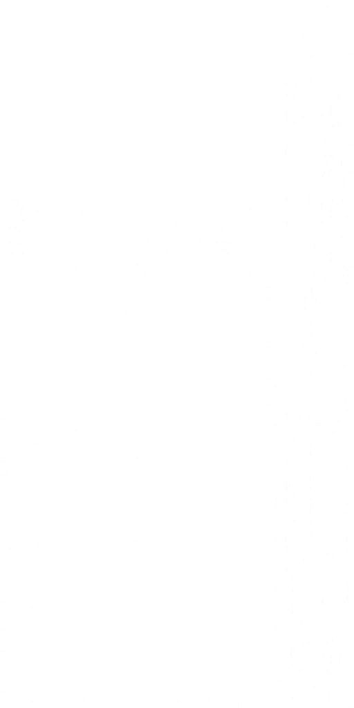 s70ao003_flag01.2