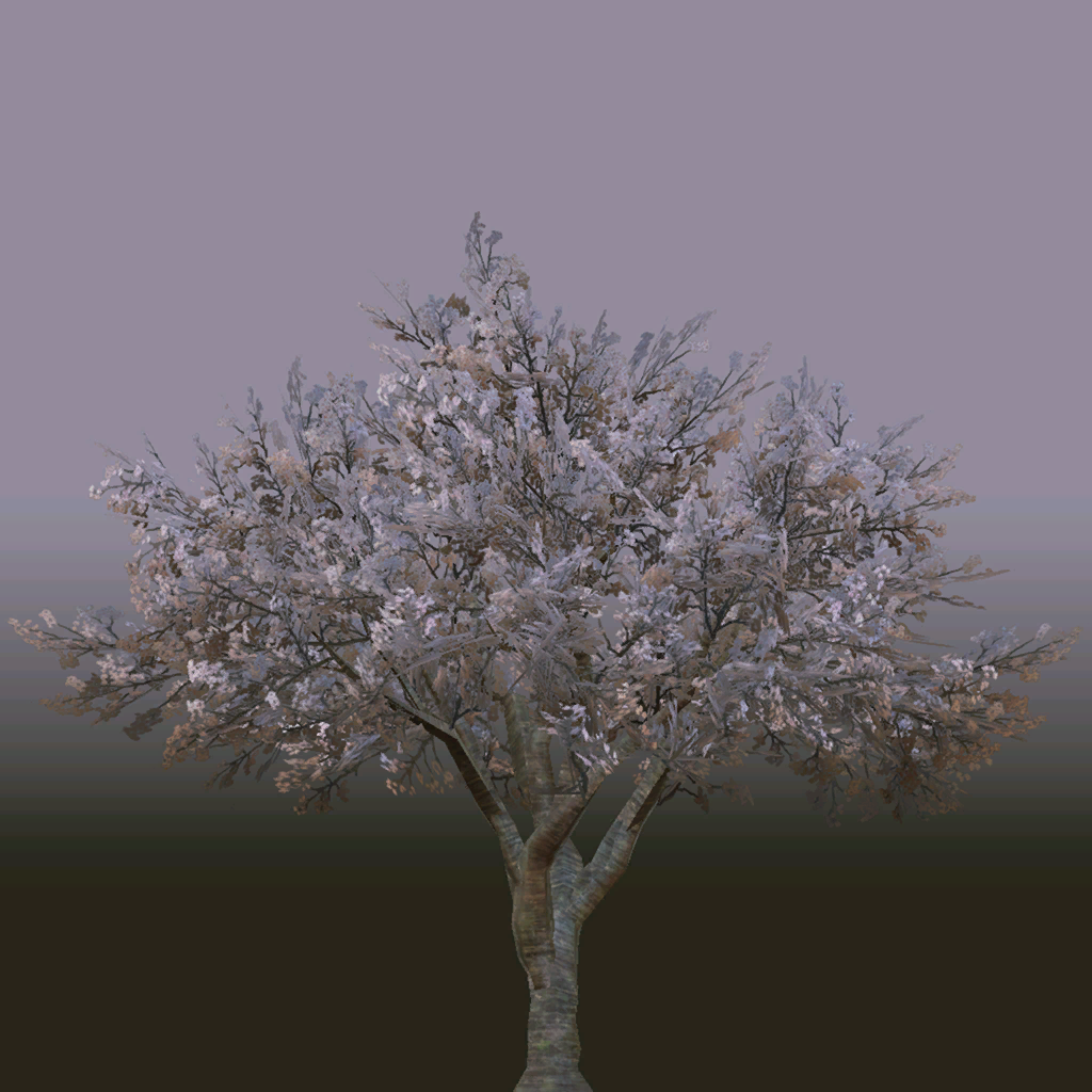 s70g001g_fartree03_a.1