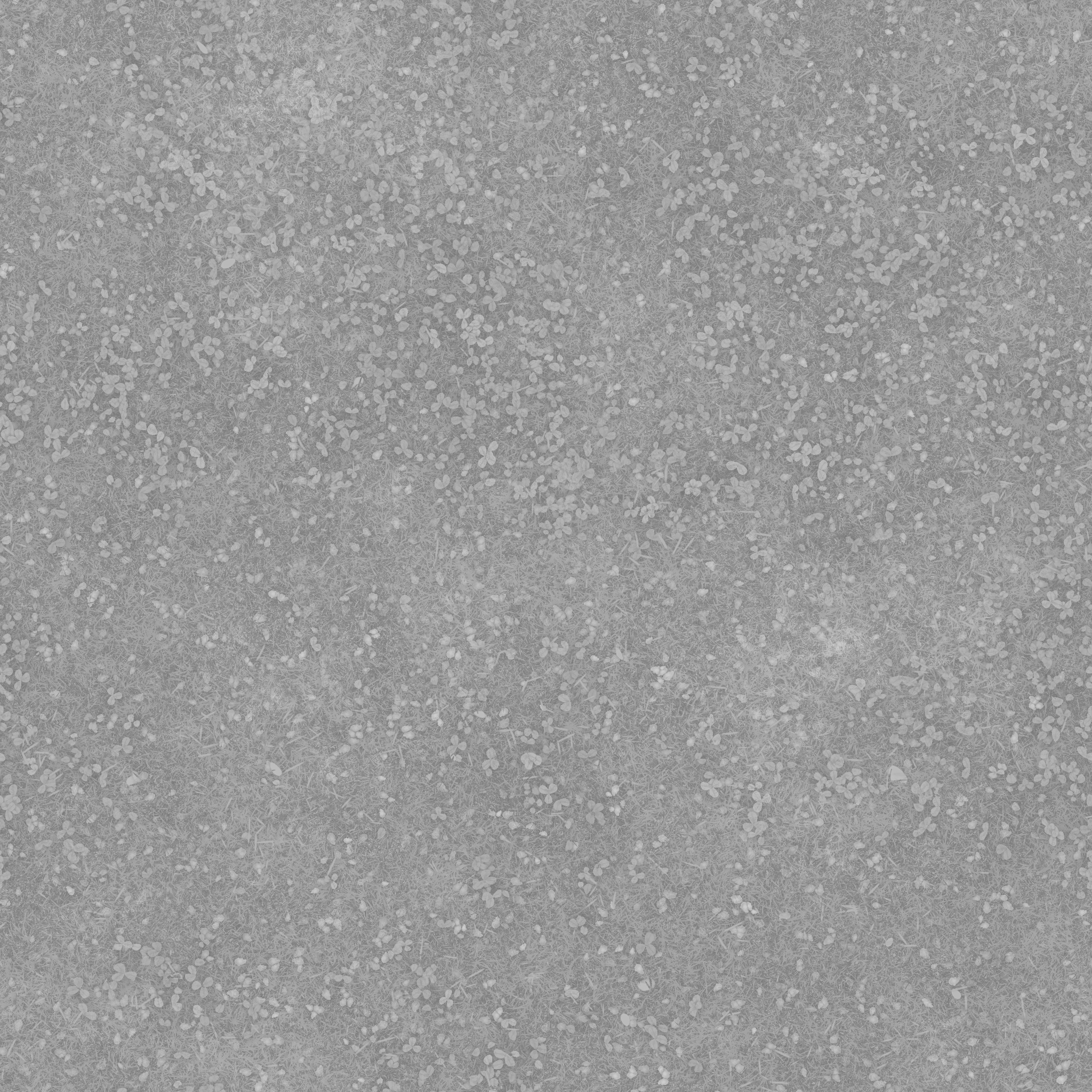 s70g001g_grass01_line.1