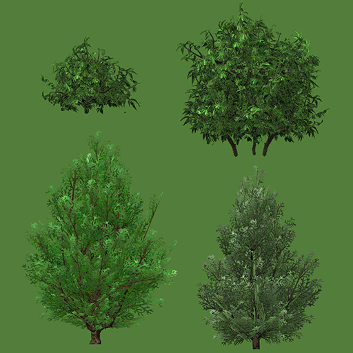 s70g001g_tree01_a.1
