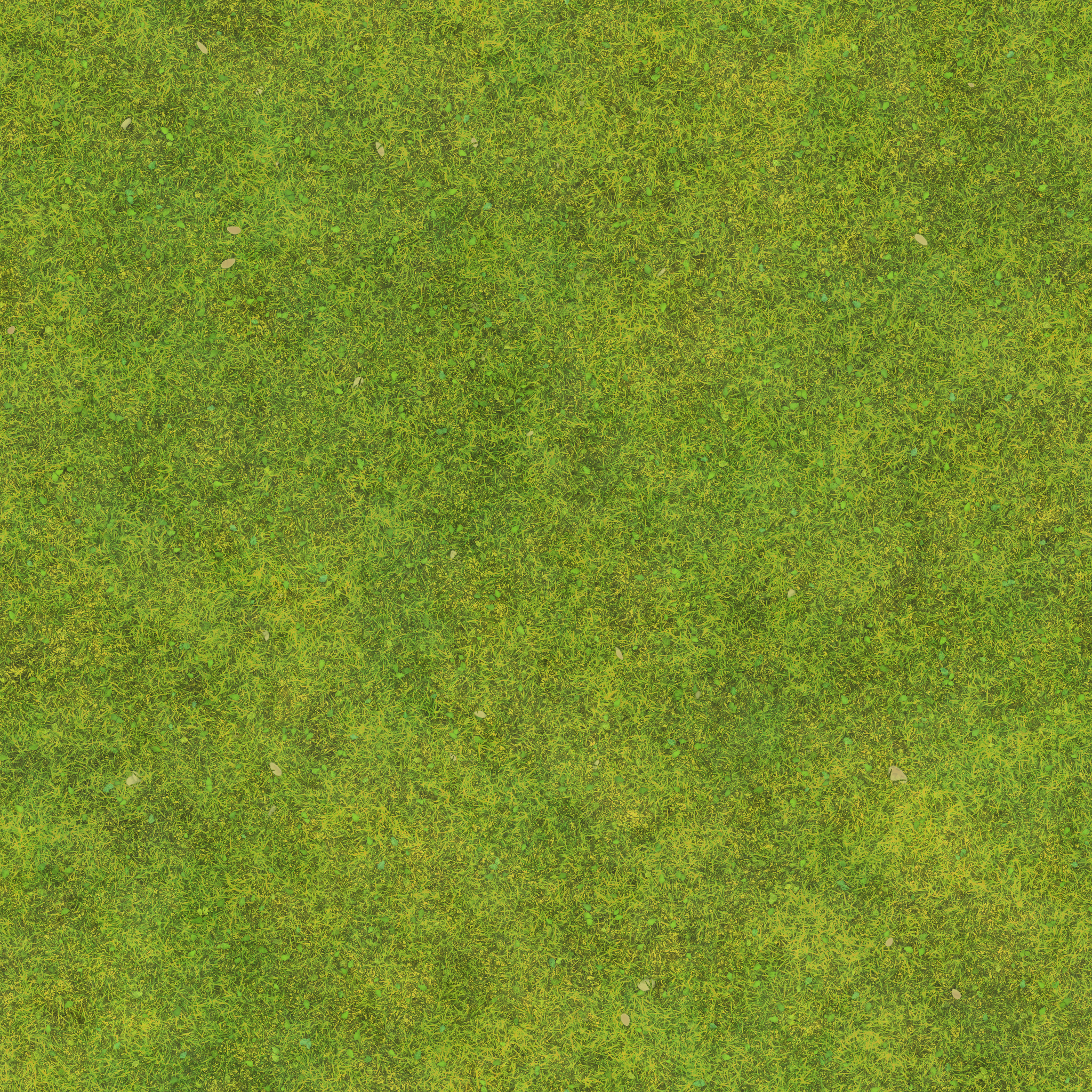 s72g001g_grass02_re.1