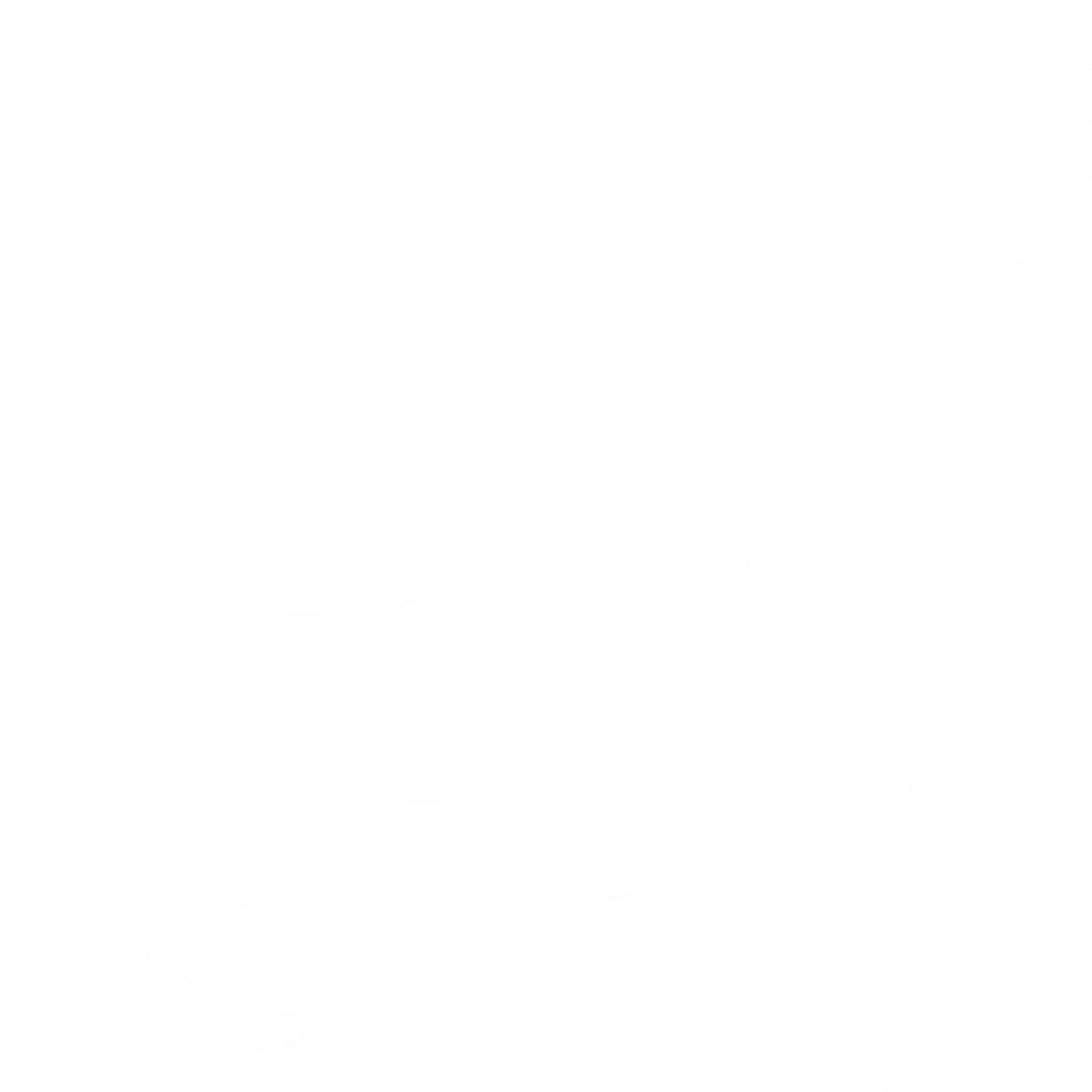 s75ao002_stone.2
