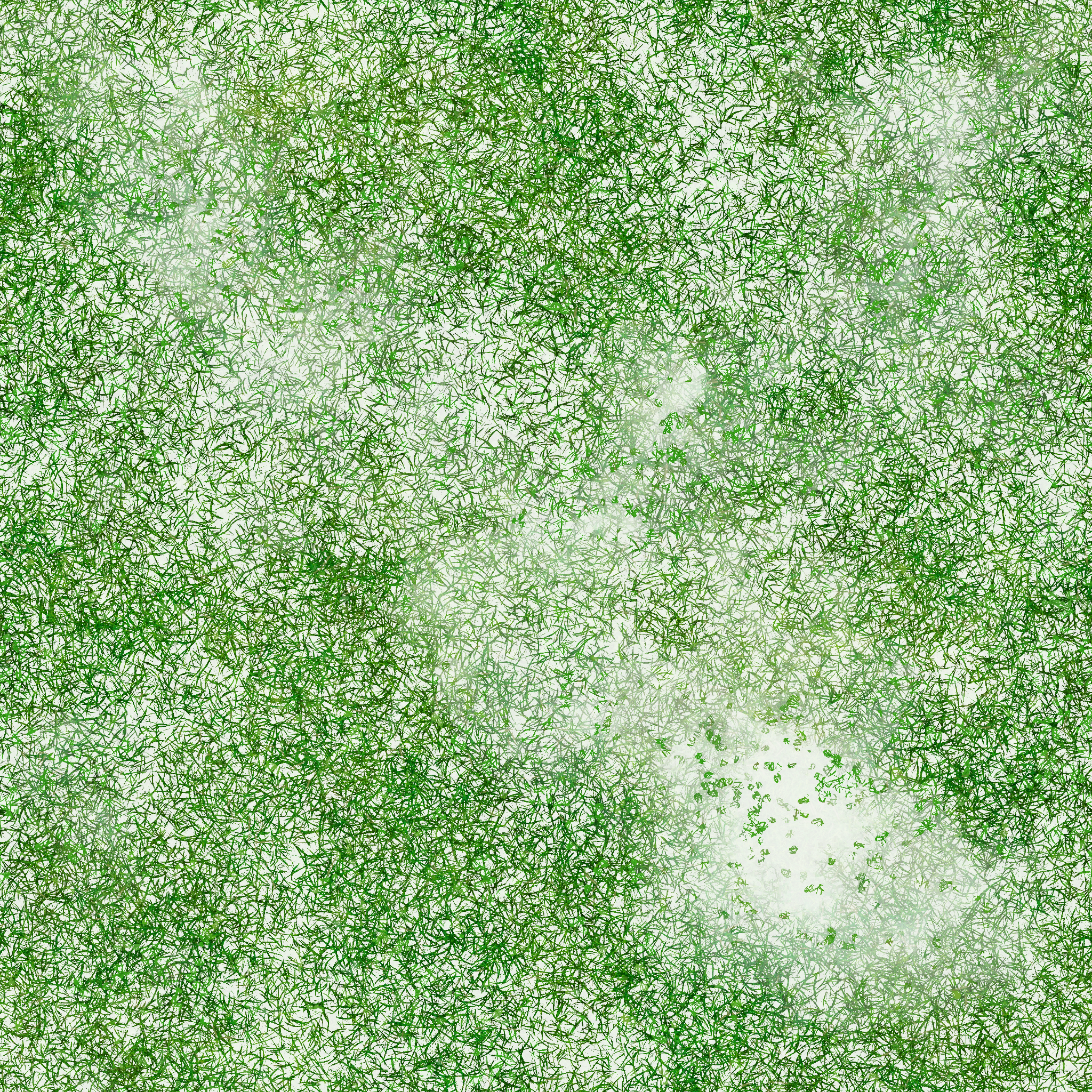 s75g001g_grass01_re.1
