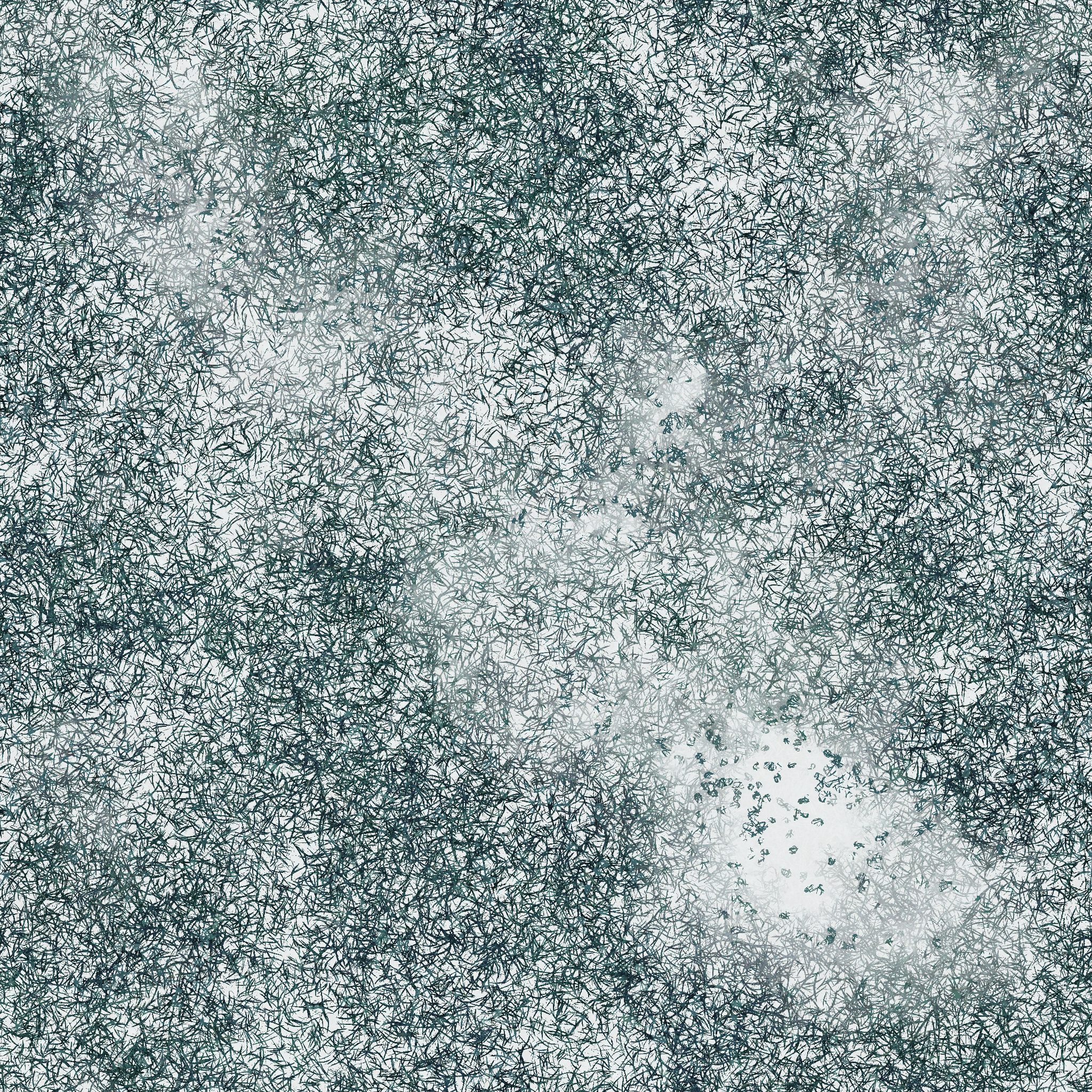 s76g001g_grass02_re.1