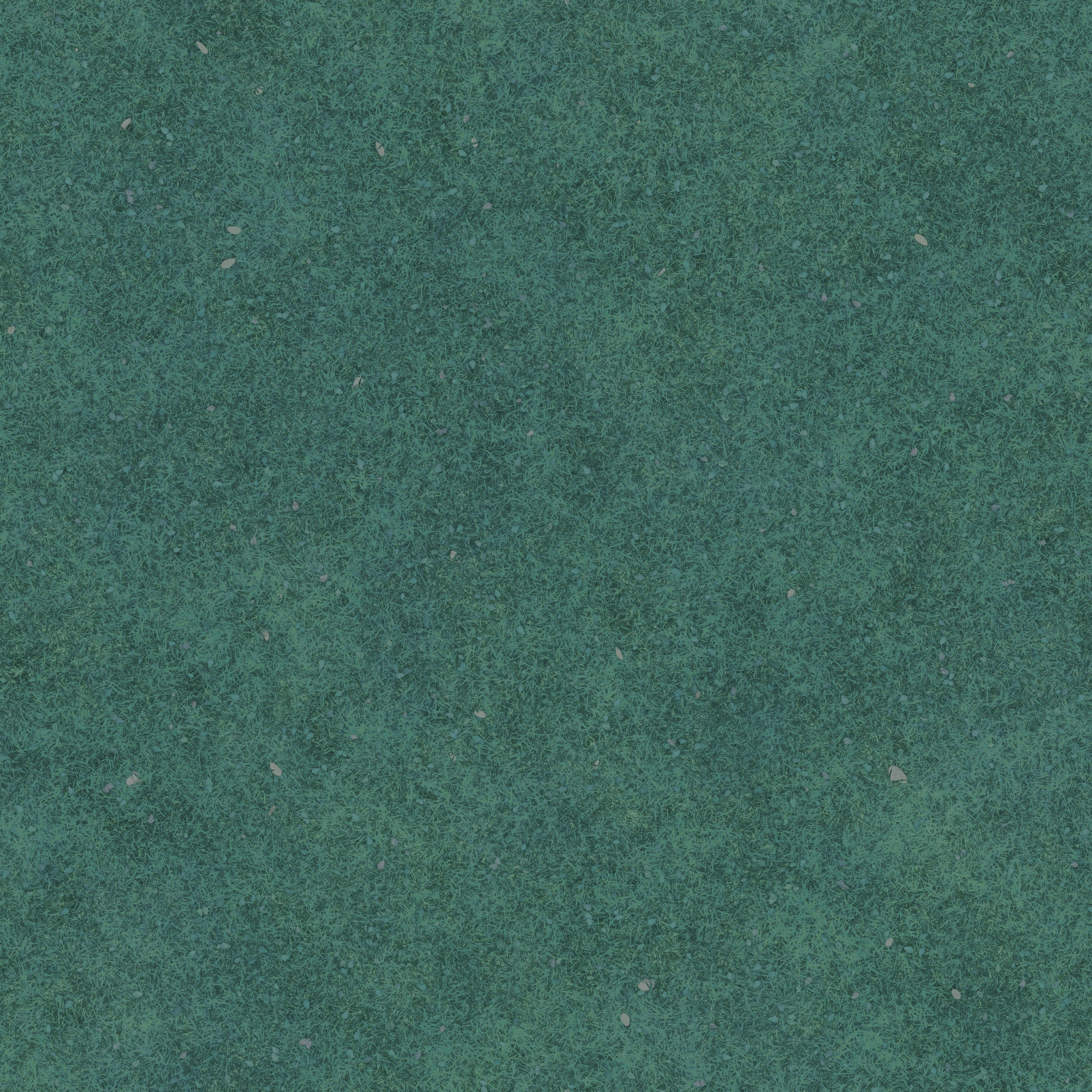 s76g001g_grass03_re.1