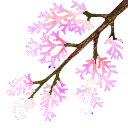 s77ao003_leaf01_a.1