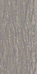 s77ao003_trunk01.1