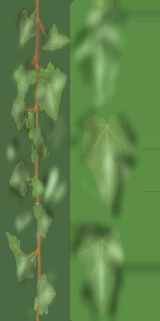 s79ao004_grass01_a.1