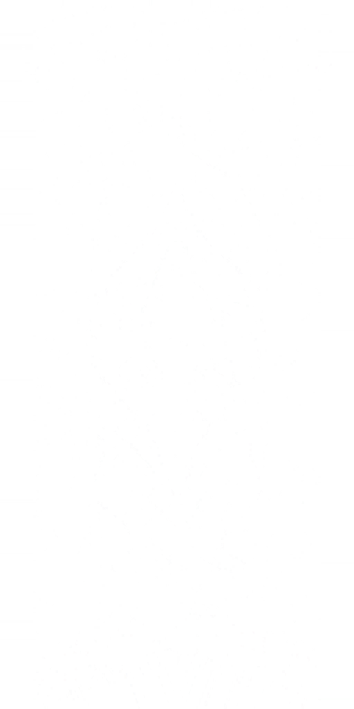 s79h001_flag01.2
