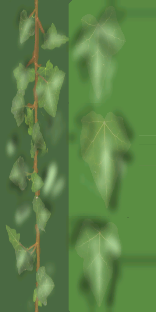 s79h001_grass01_a.1