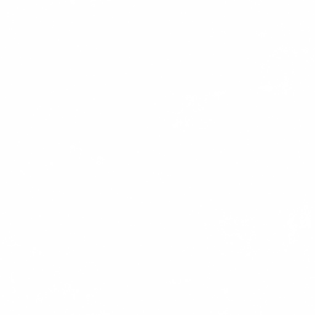 s82g001g_ground01_re.2
