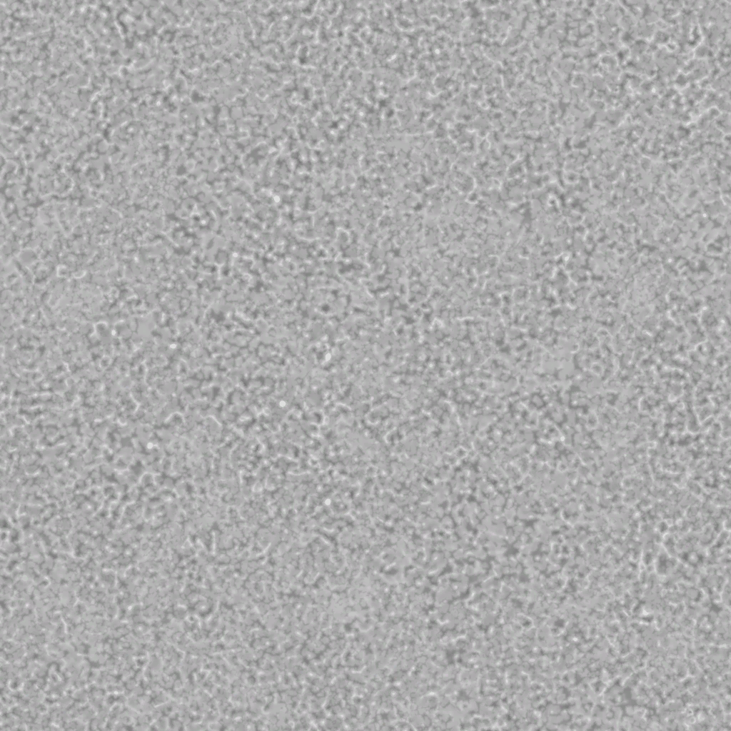 s88g001g_floor01_re.1