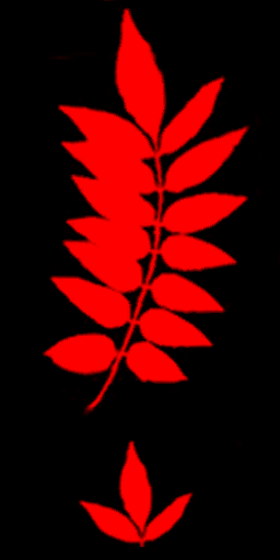 w10h042_a.a