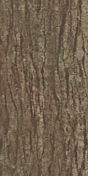 w10h042_wood01.1