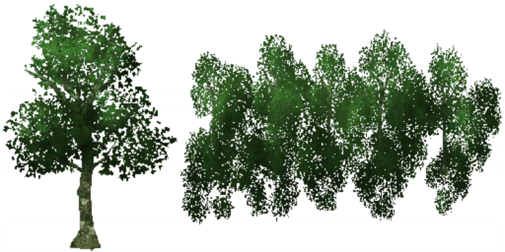 w10p_tree01b.1