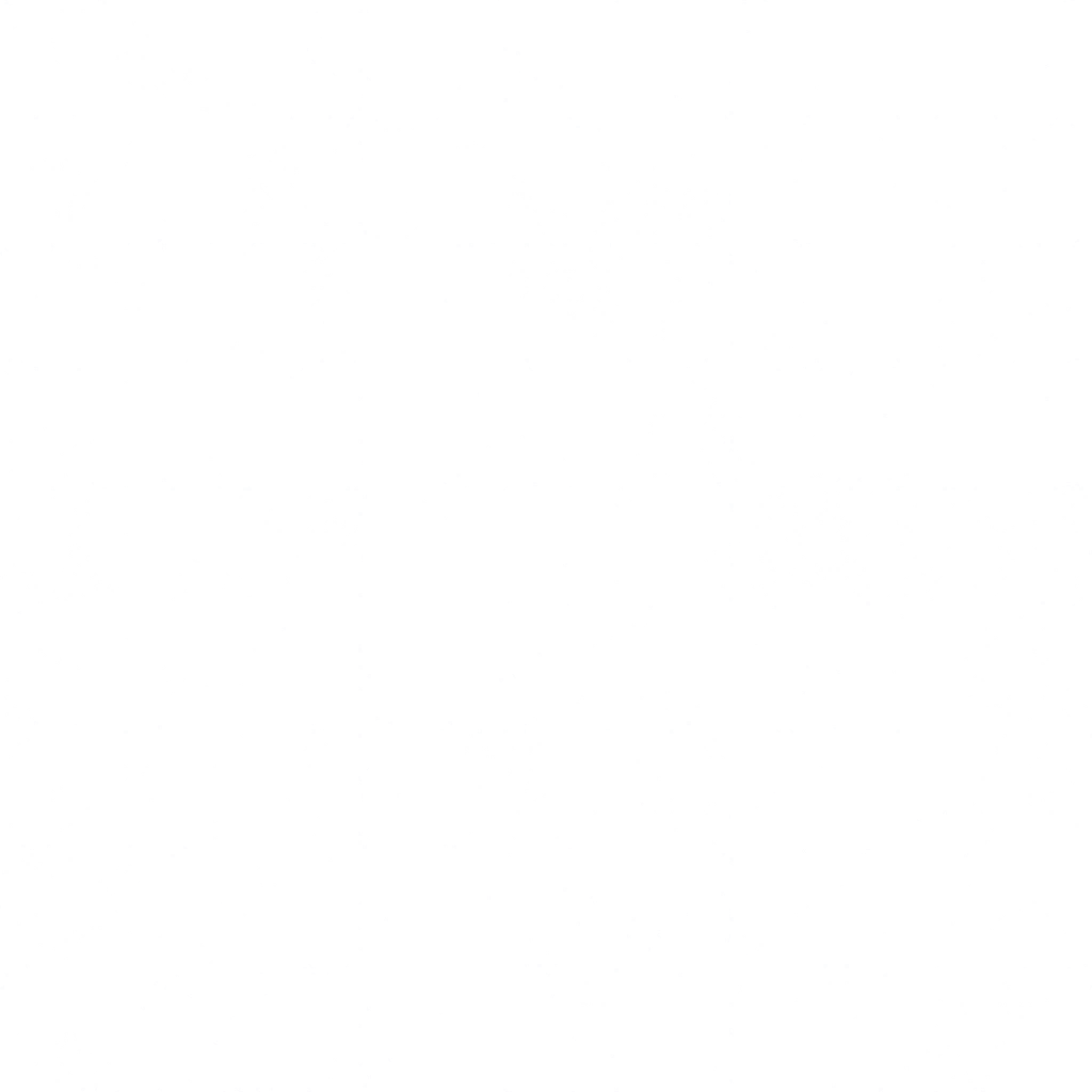w10g201g01_flagstone02.2