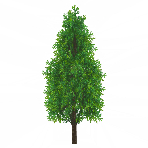 w10g201g01_tree01_a.1