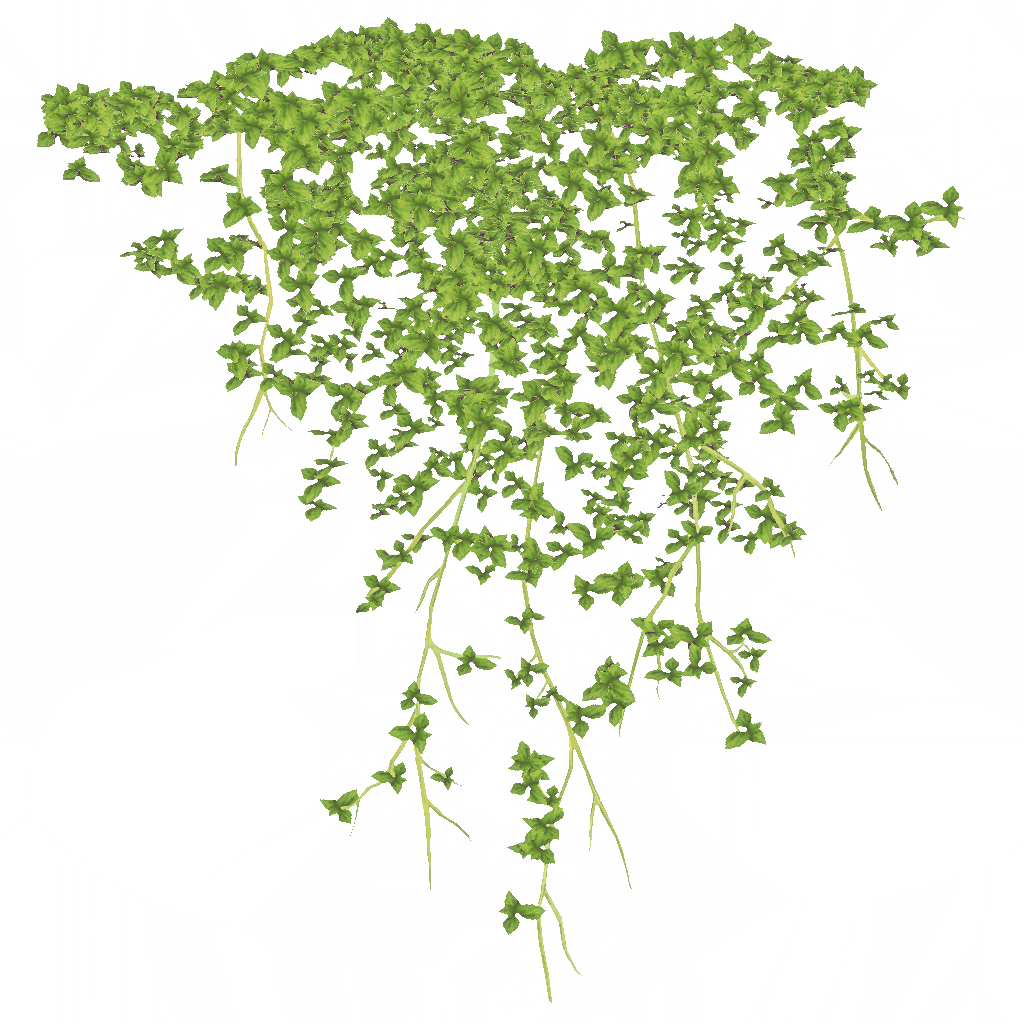 w10g201h03_ivy01_a.1