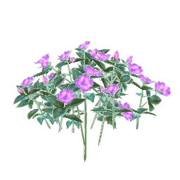 w10i000f01_gr036.1