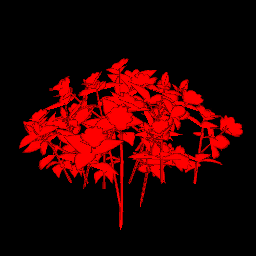 w10i000f01_gr036.a