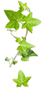w10i000h42_01_a.1