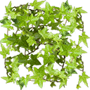 w10i000h42_grass01_a.1