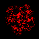 tr_03_a.a
