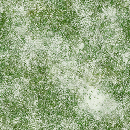 w10i000tr200_moss01.1