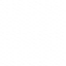 w10i020f01_net01.2