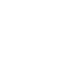 w10i020f01_net02.2