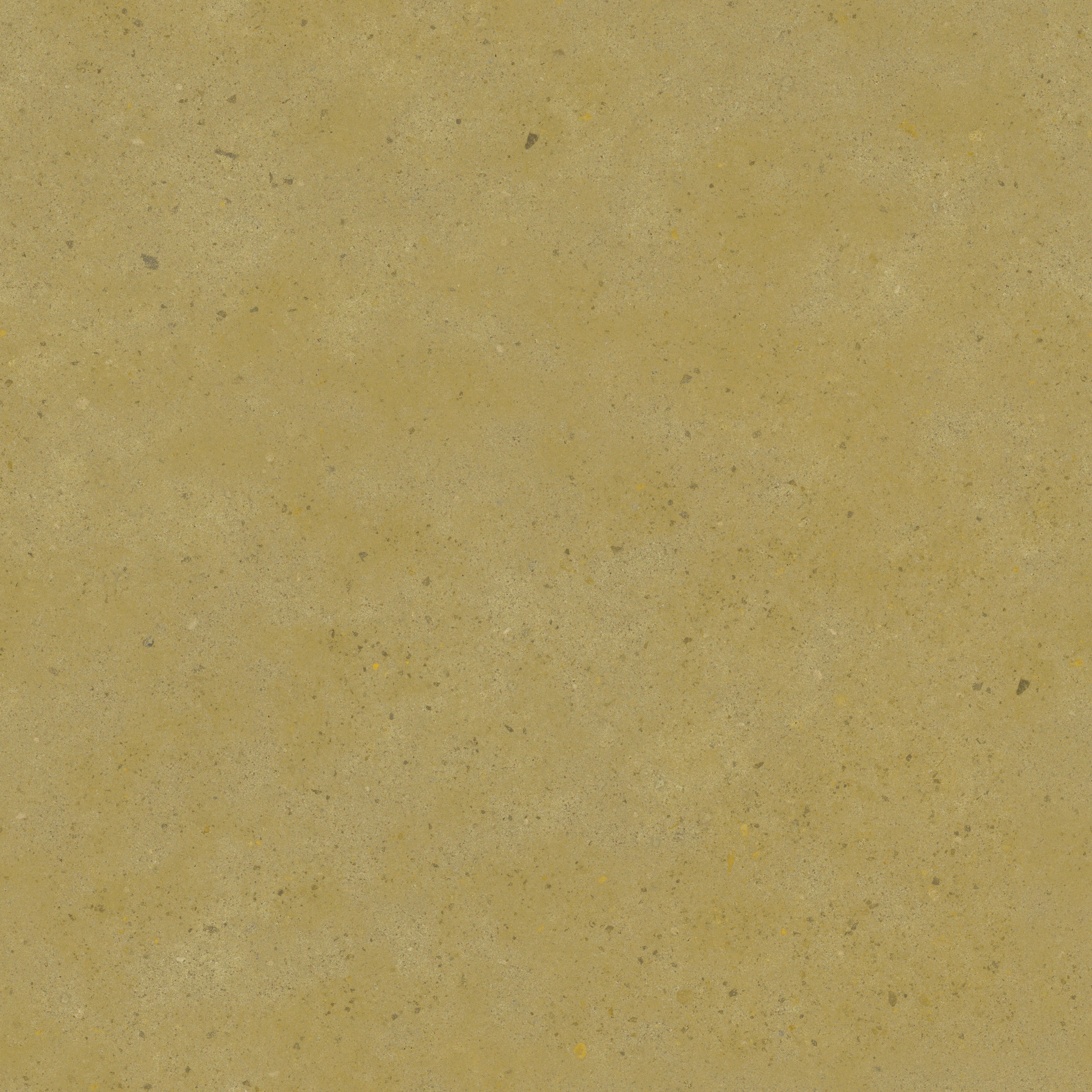 w11g_ground01_re.1