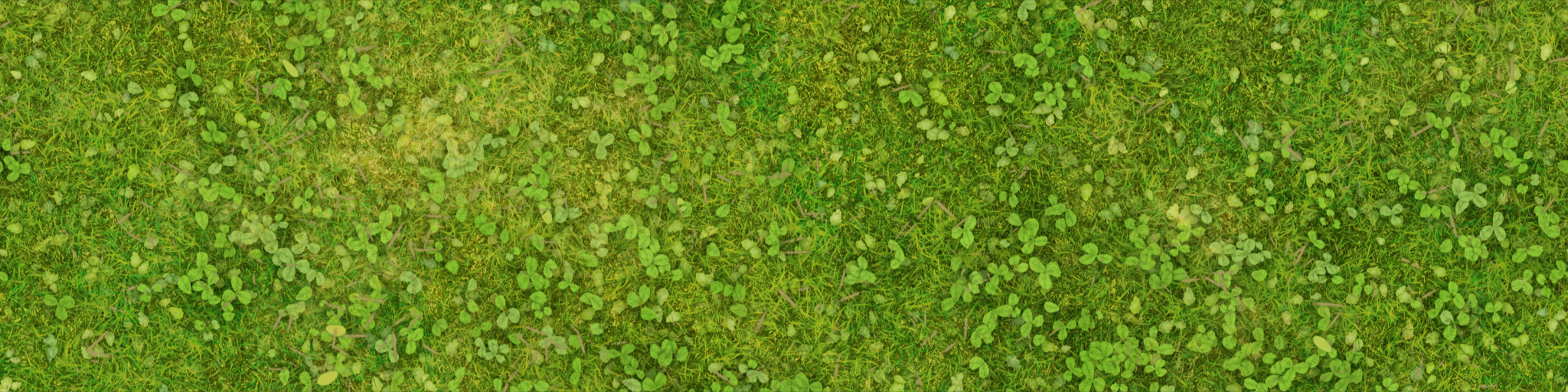 w11g_grass01_a.1