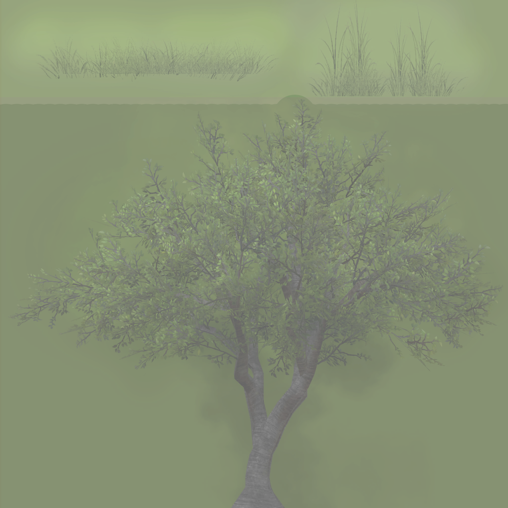 w12g_fartree03_a.1