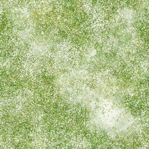 w14d_grass01_re.1