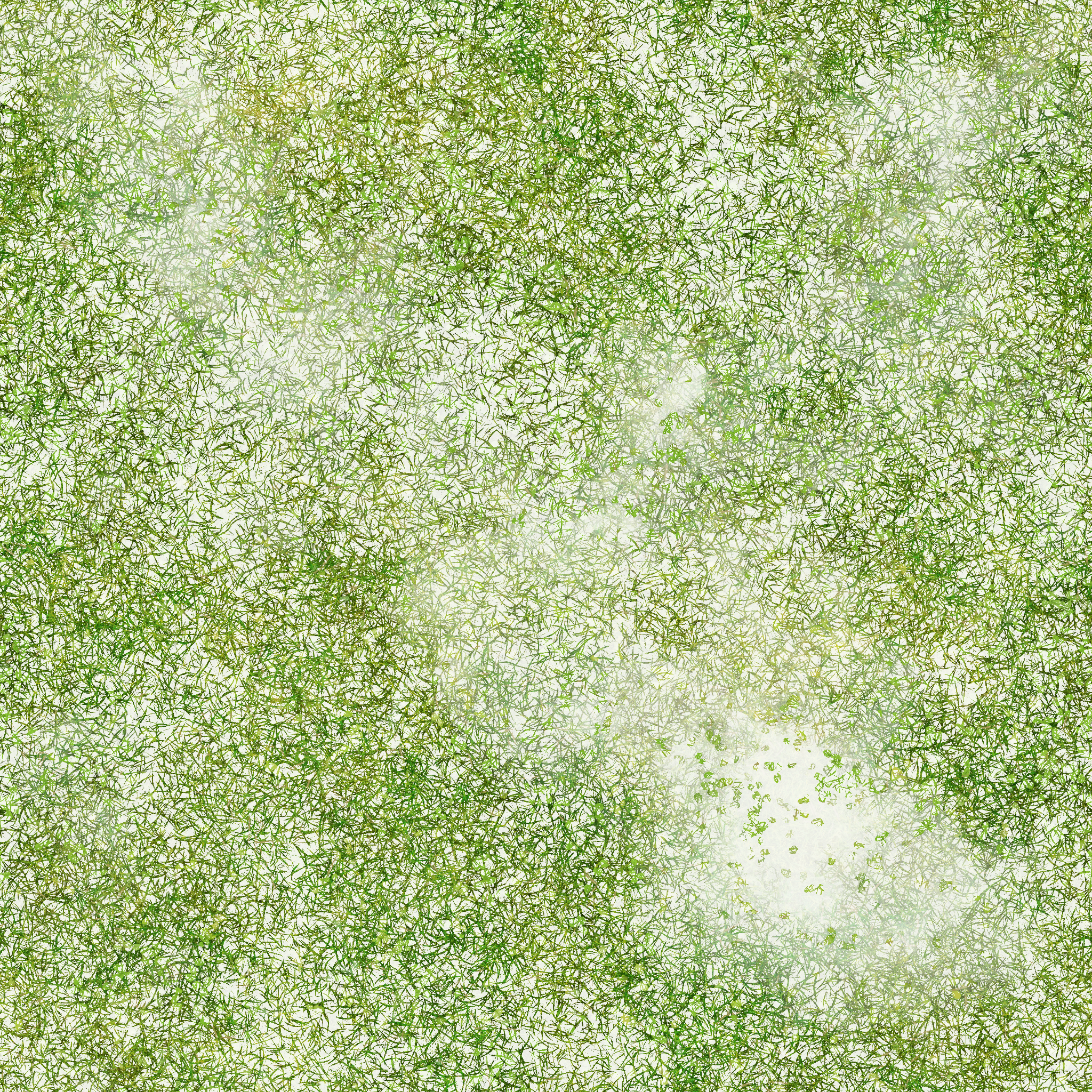 w14g_grass01_re.1