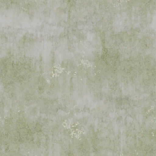 w14g_wall01b_durt_re.1
