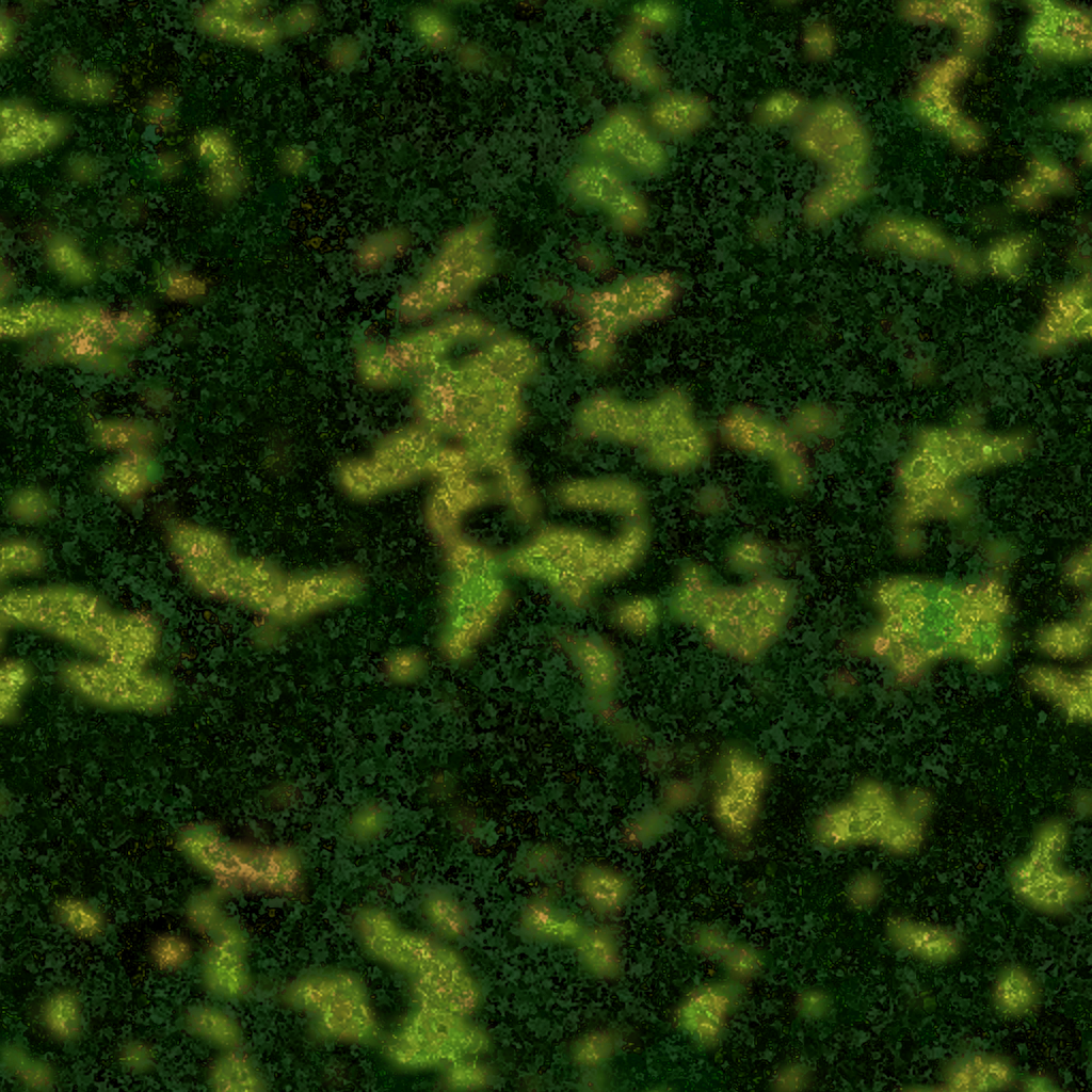 w15g_grass02_re.1