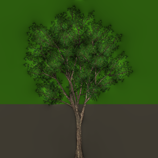 w15p_fartree01c_a.1