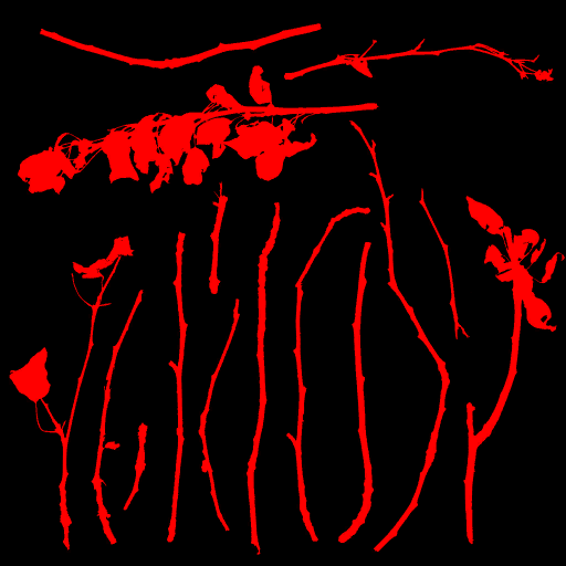 w16d_branch01.a