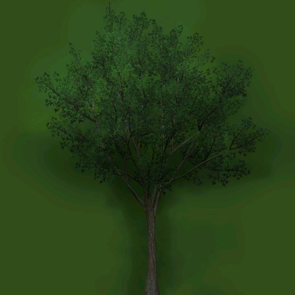 w20g_fartree01_a.1