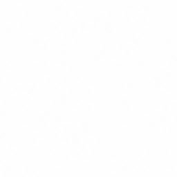 w20h102_name01.1