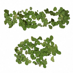 w21p_leaf03_a.1