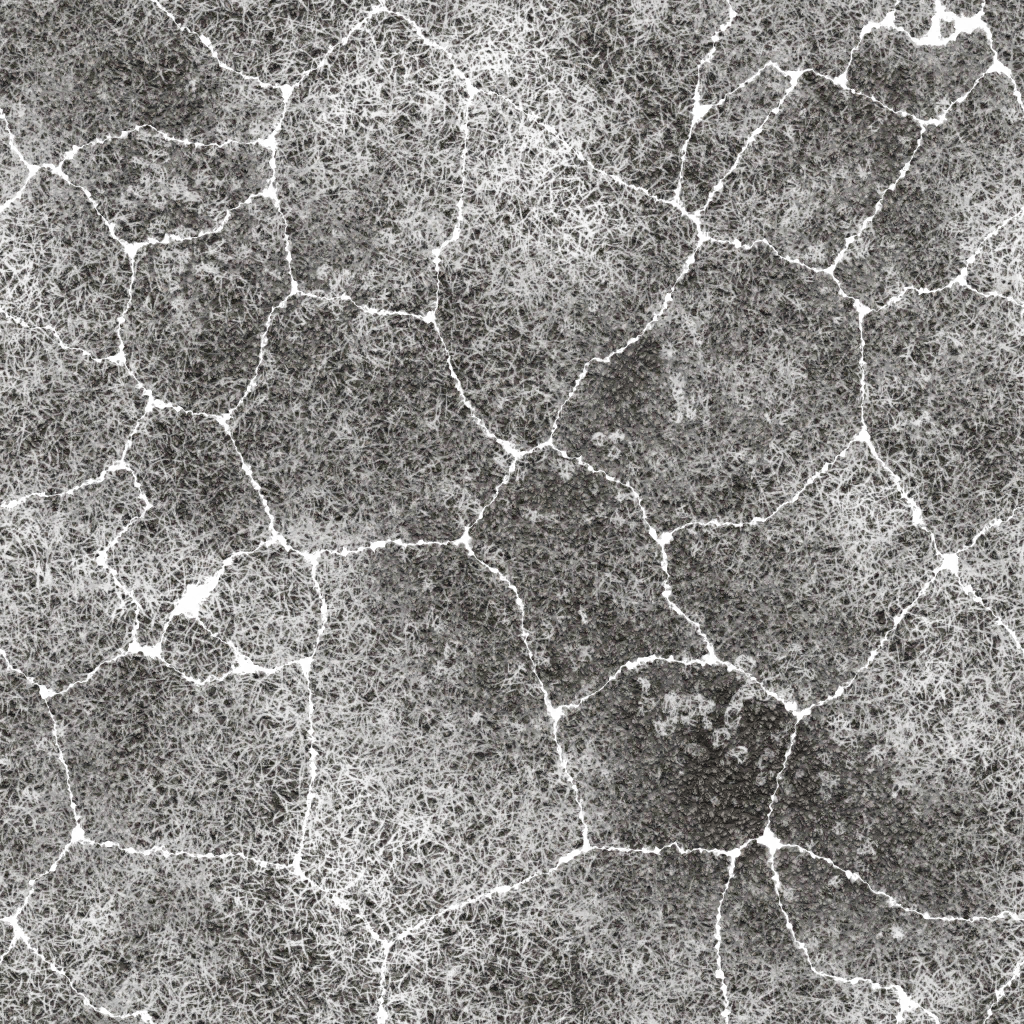 w22g_road03_re.1