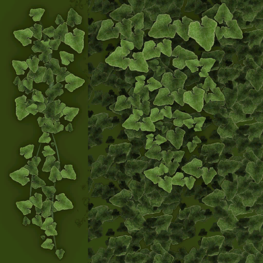 w22h_ivy01.1