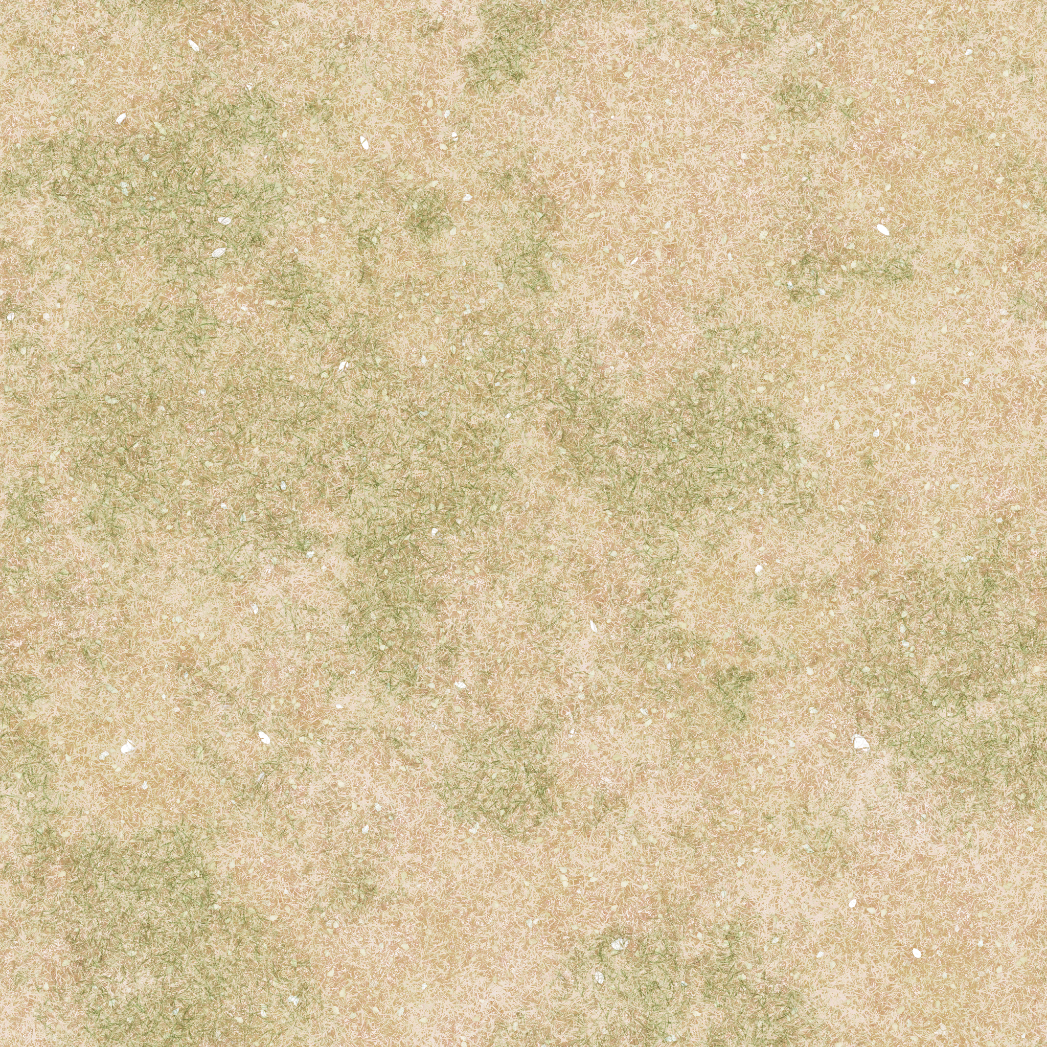 b17g001g_grass01_re.1