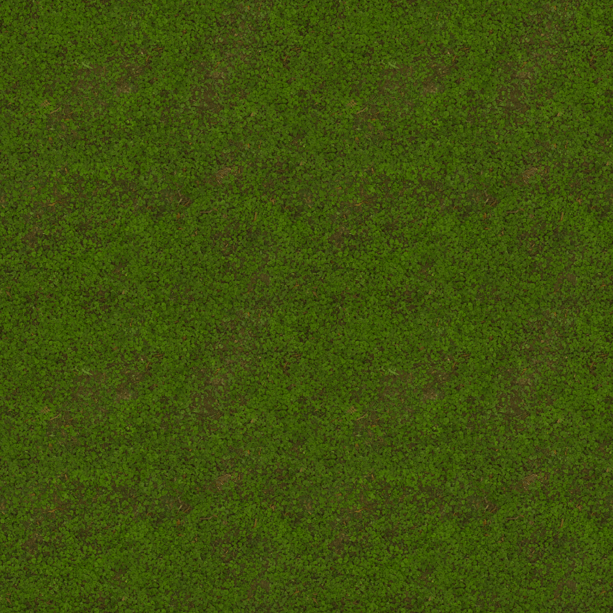w35g_grass01.1
