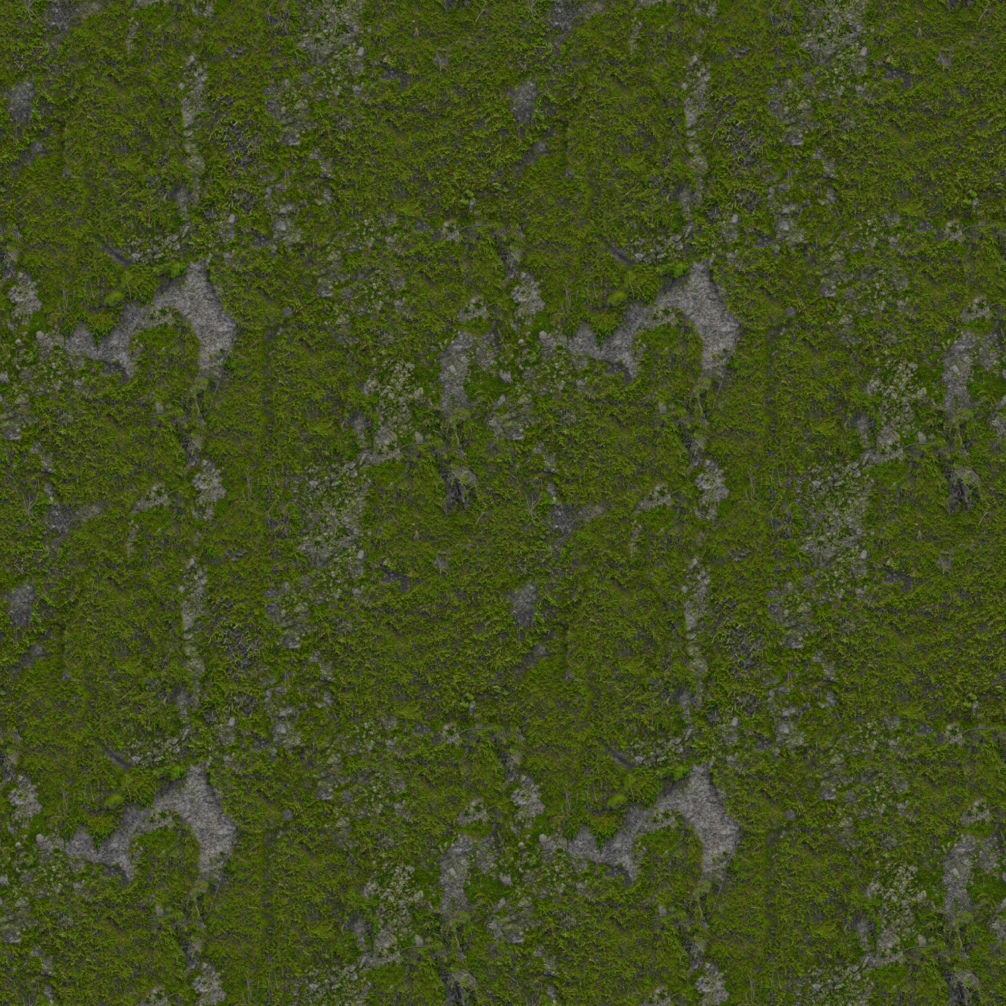w35g_moss01.1
