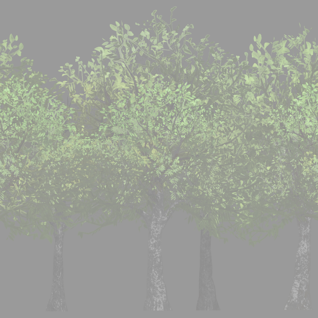 w35p_fartree02_a_re.1